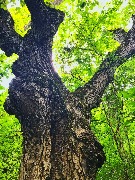 20200725_152133967_iOS.jpg