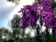 IMG_2636_обработано.JPG