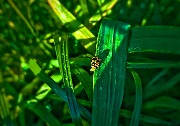 00100 (200)_обработано.JPG