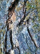 20200725_114532709_iOS.jpg