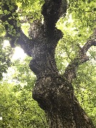 20200725_114641918_iOS.jpg