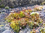 IMG_1899(1).JPG