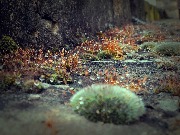 00100 (171)_обработано.JPG