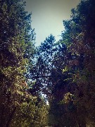 20200719_100436779_iOS_обработано.jpg
