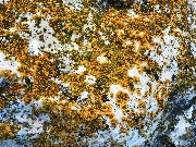 IMG_2641.JPG