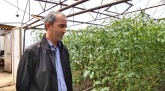 В Сулейман-Стальском районе древесные отходы послужили причиной создания теплиц