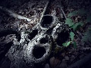 20200725_115322700_iOS_обработано.jpg