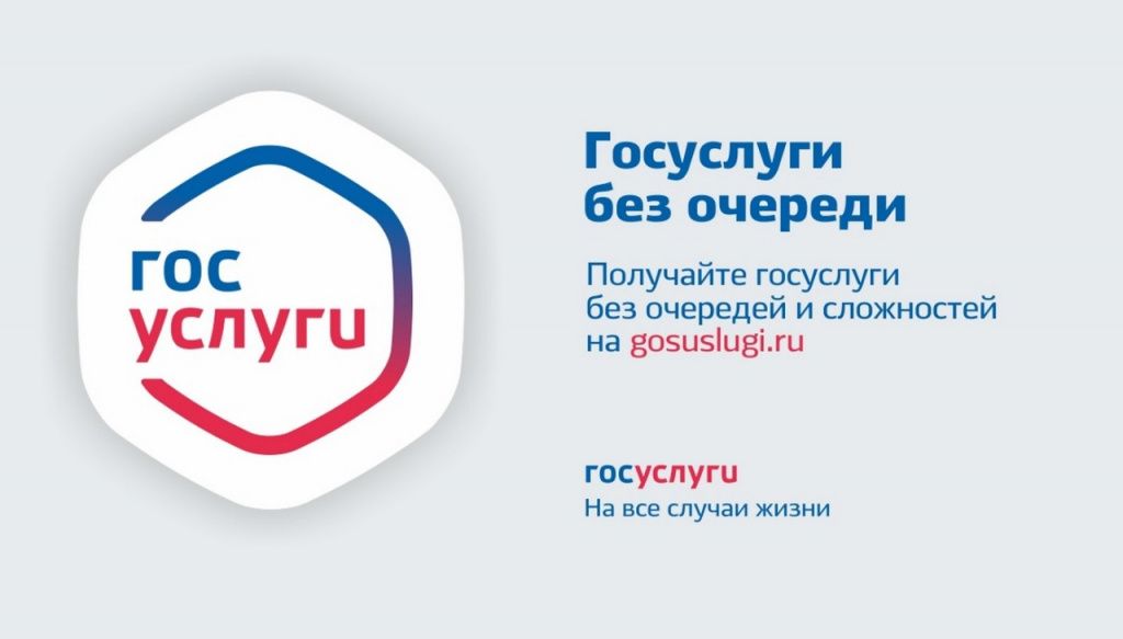 банер.jpg