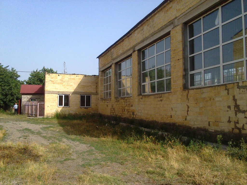 дюсш.jpg